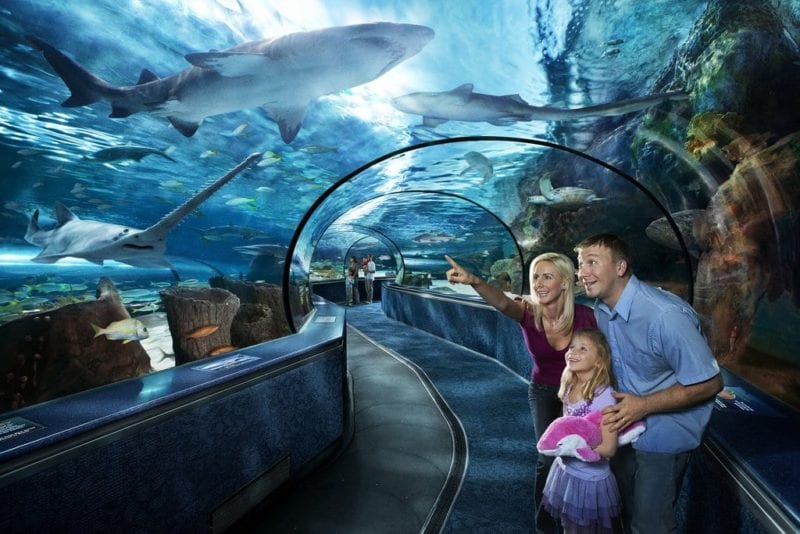 Ripley's Aquarium Visit